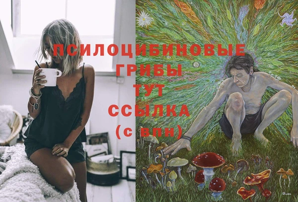 кристаллы Осинники