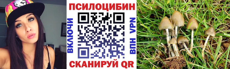 Псилоцибиновые грибы Cubensis  Купить  Закаменск 